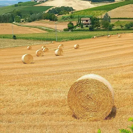 Bed & Breakfast Relais La Monferrina Calliano (Piedmont)