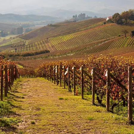 Relais La Monferrina Bed & Breakfast Calliano (Piedmont)