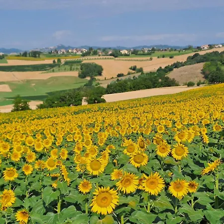 Relais La Monferrina 4* Calliano (Piedmont)