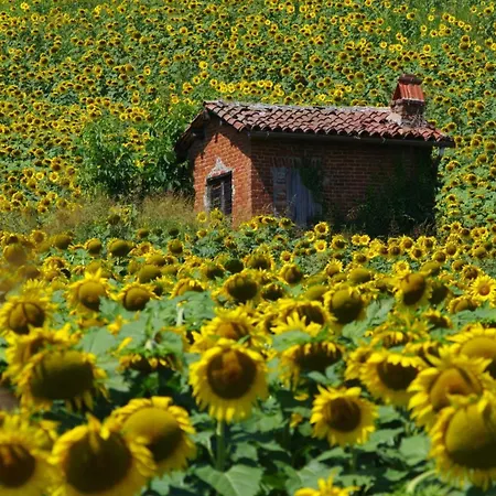 Bed & Breakfast Relais La Monferrina 4*